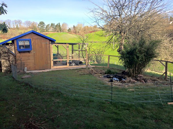 Cabane de jardin servant d'abri pour lapin