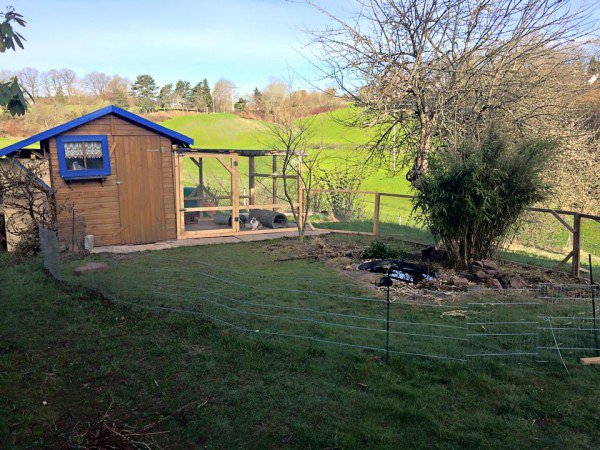 Cabane de jardin servant d'abri pour lapin