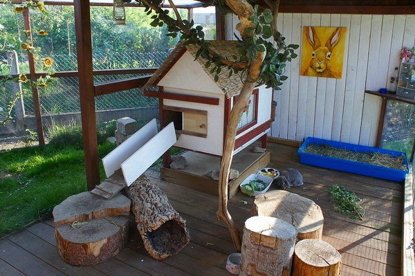 Un clapier à l'intérieur avec un parcours herbeux