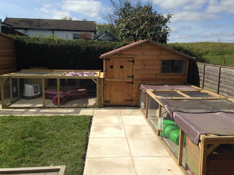 Abri de jardin en bois pour lapin avec deux enclos