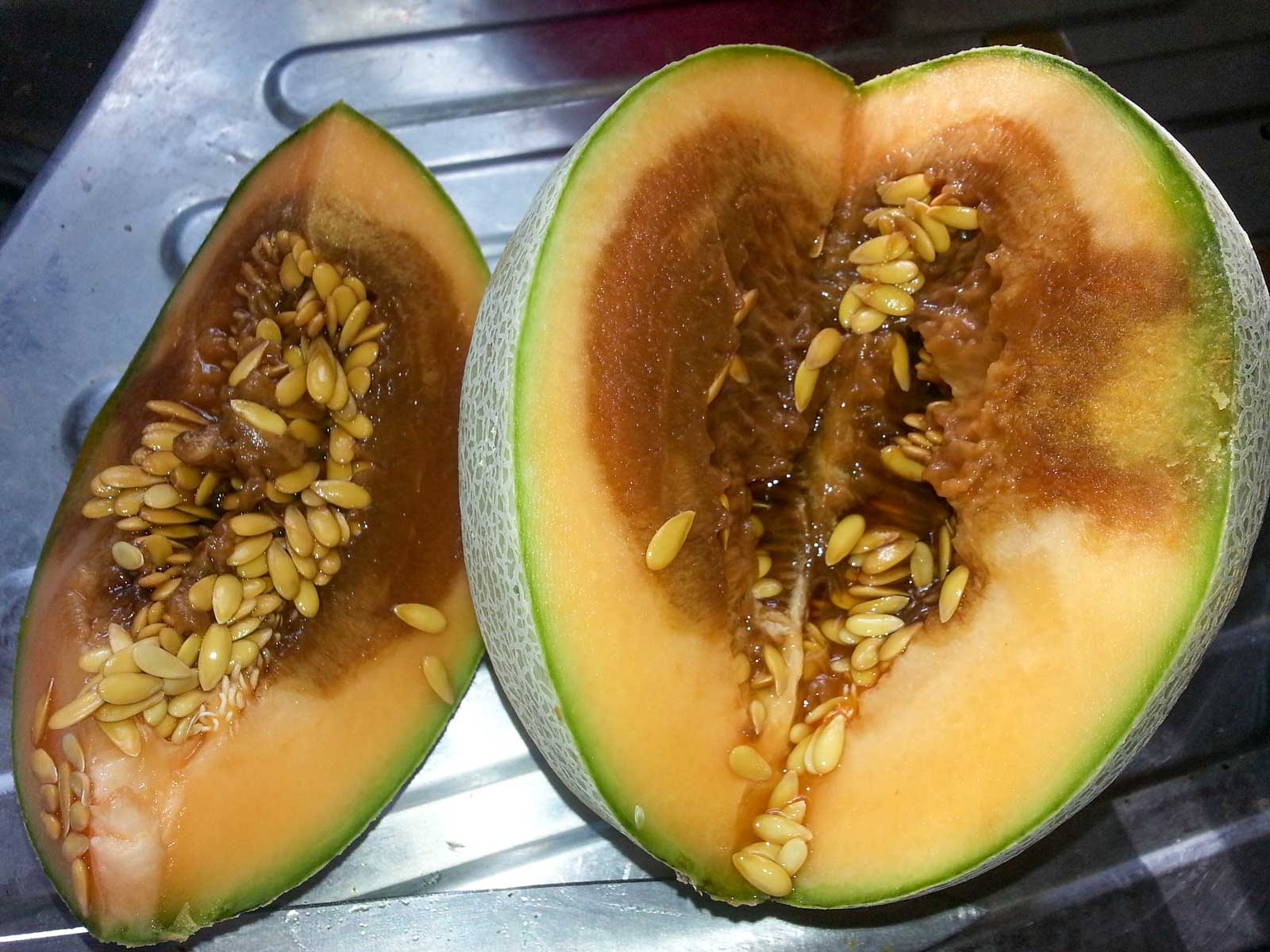 Le melon pourri n'est pas bon pour les poules