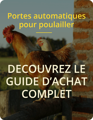 Découvrez le guide d'achat spécial Portes automatiques pour poulailler