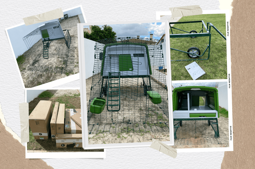 Mon avis sur l'installation du poulailler Eglu Cube d'Omlet